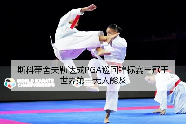斯科蒂舍夫勒达成PGA巡回锦标赛三冠王 世界第一无人能及